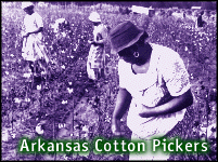 [cotton pickers]