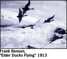 [Elder Ducks Flying]