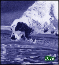 [dive]