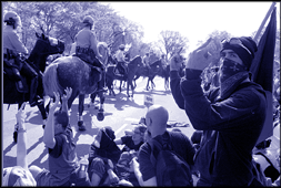 DC Protesters
