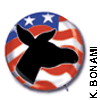 Democrat Pin