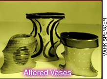 Altered Vases
