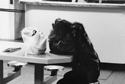 Homeless
