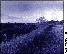 [landfill]