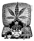 World Wide Weed