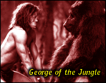 [George of the Jungle]