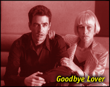 Goodbye lover