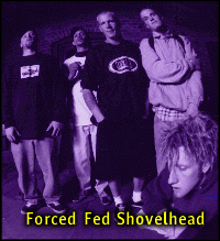 [Forced Fed Shovelhead]