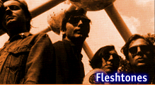 [Fleshtones]