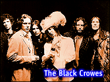 Black Crowes