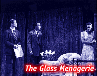 Glass Menagerie